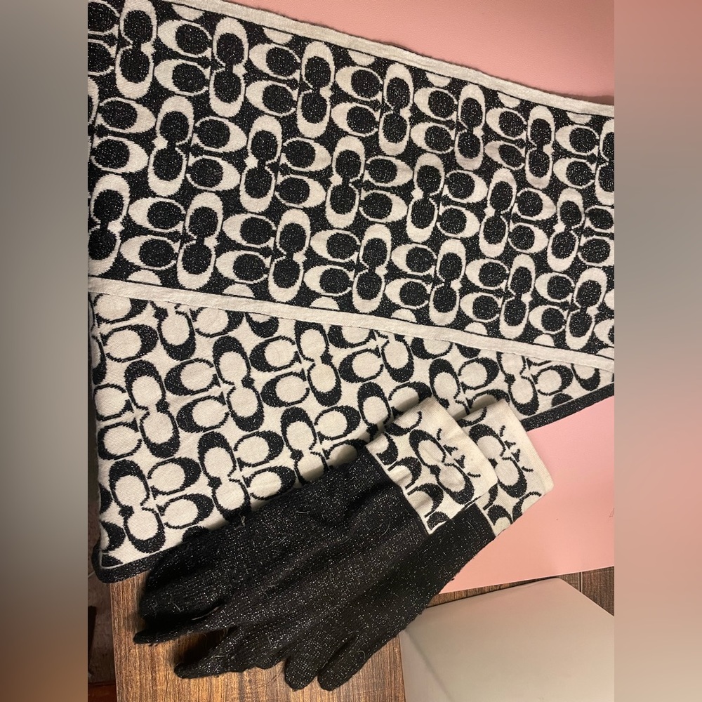 Coach scarf and gloves set